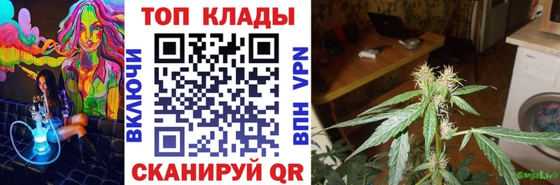 КОКАИН Новомосковск