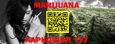 сатива Аргун