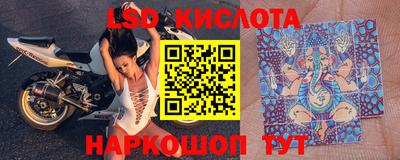 сатива Аргун