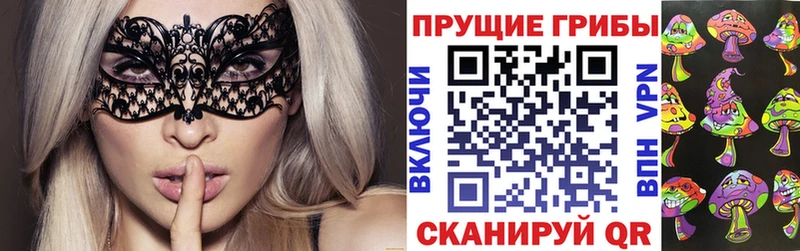 Псилоцибиновые грибы Psilocybine cubensis  Купить  Новомосковск 