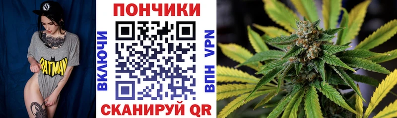 Шишки марихуана планчик  Купить закладки  Новомосковск 